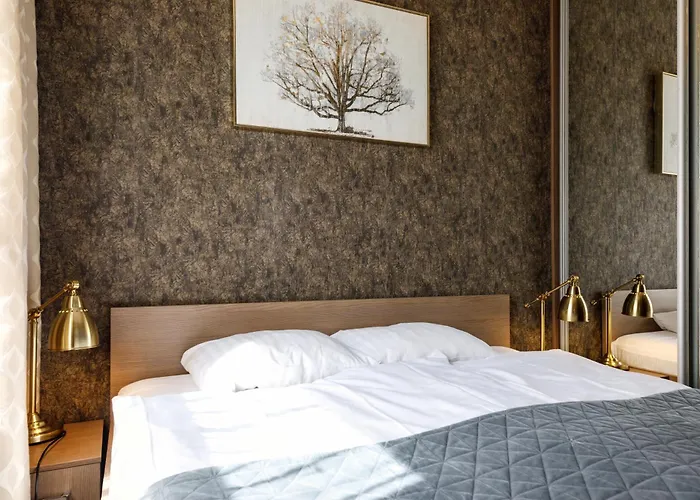 Oldrigaluxapart Free Parking